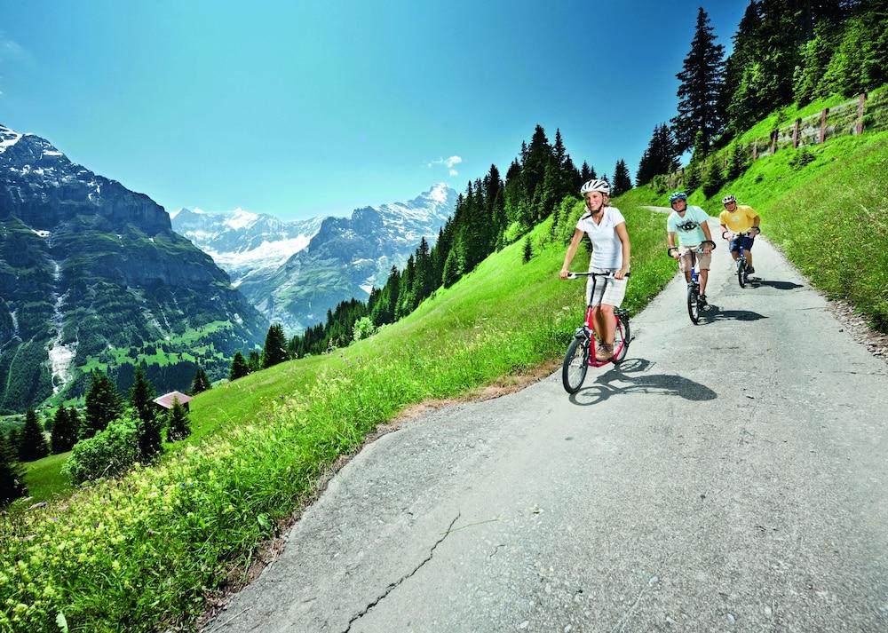 Hotel Grand Belvedere, A Beaumier Wengen