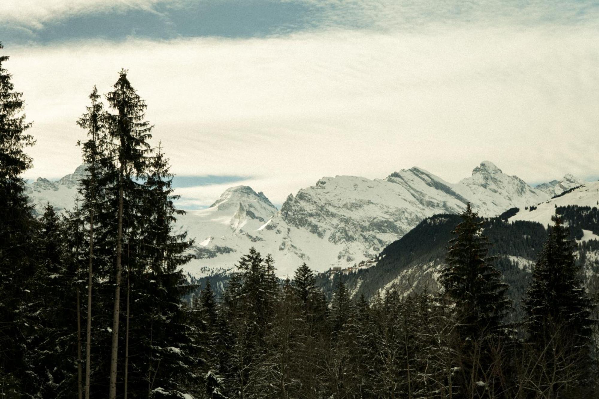 Grand Belvedere, A Beaumier Wengen
